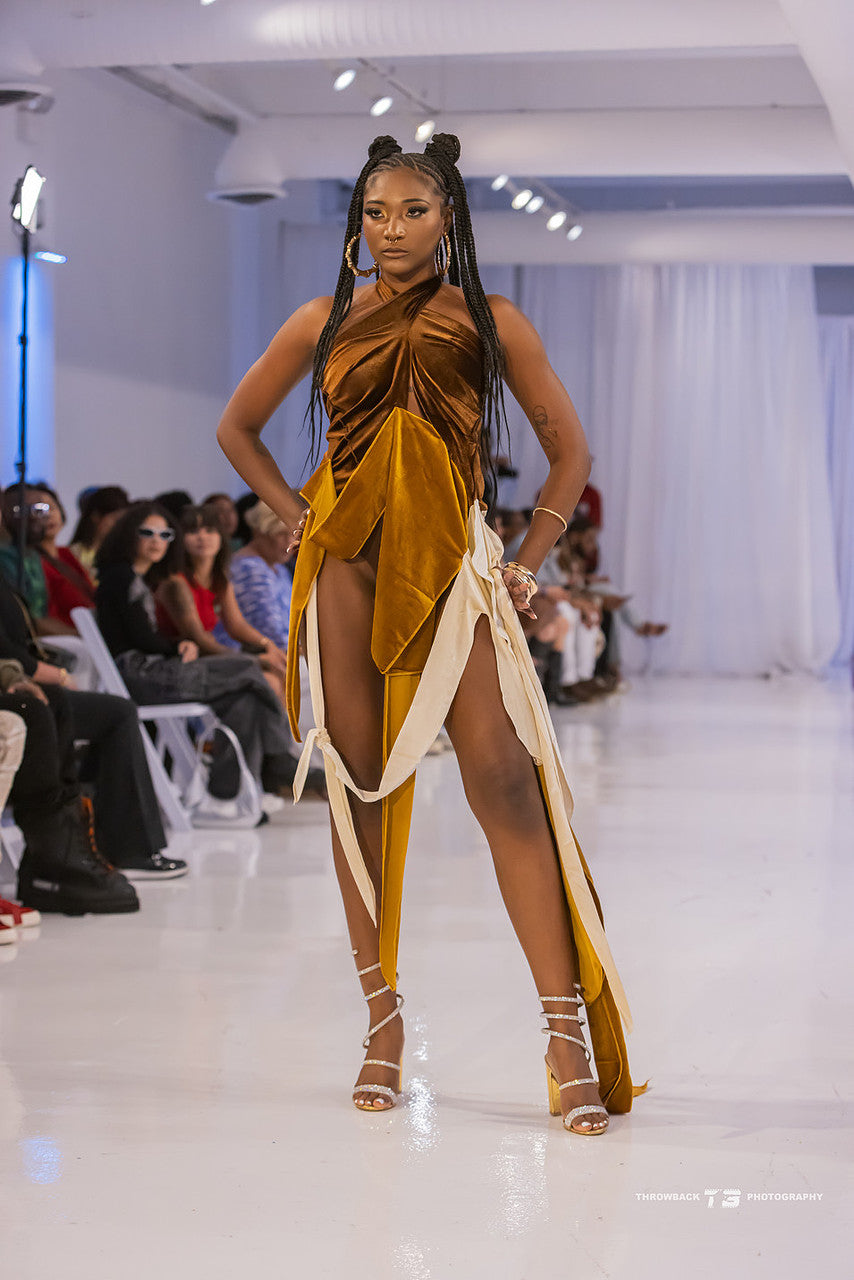 NYFW Sisters Dress